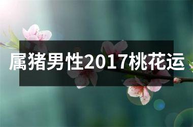 属猪男性2017桃花运