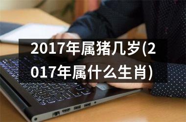 <h3>2017年属猪几岁(2017年属什么生肖)