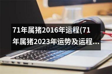 71年属猪2016年运程(71年属猪2025年运势及运程每月运程)