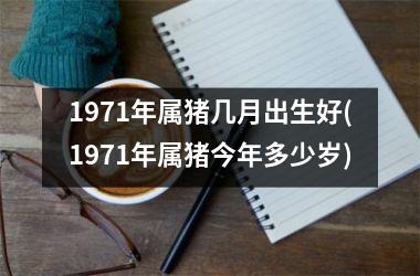 1971年属猪几月出生好(1971年属猪今年多少岁)