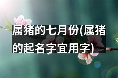 <h3>属猪的七月份(属猪的起名字宜用字)