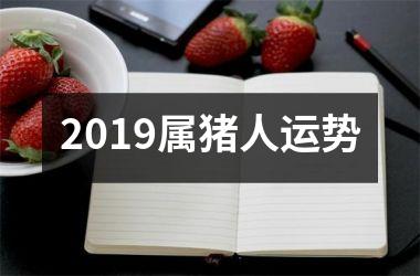 2019属猪人运势