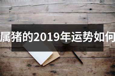 属猪的2019年运势如何