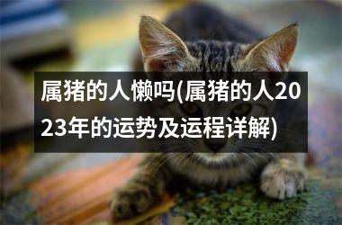 属猪的人懒吗(属猪的人2025年的运势及运程详解)