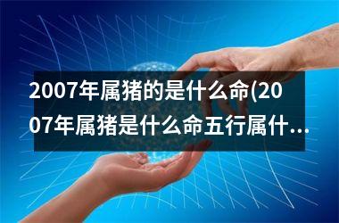 2007年属猪的是什么命(2007年属猪是什么命五行属什么)