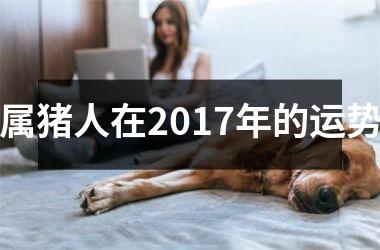 属猪人在2017年的运势