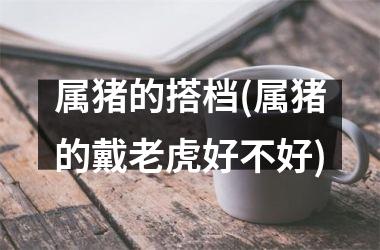 属猪的搭档(属猪的戴老虎好不好)