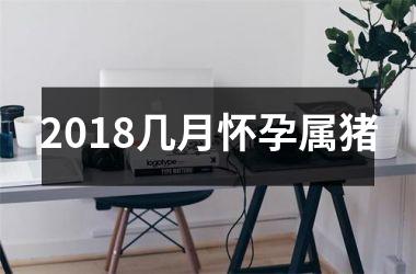 2018几月怀孕属猪