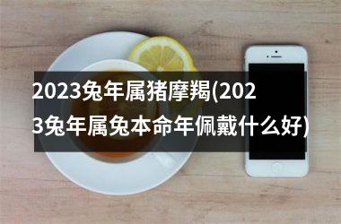 2025兔年属猪摩羯(2025兔年属兔本命年佩戴什么好)