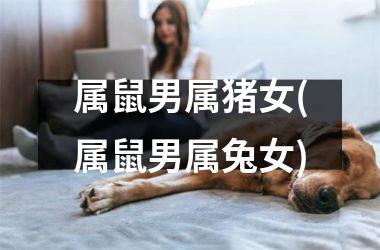 属鼠男属猪女(属鼠男属兔女)