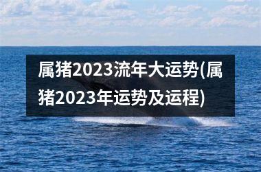 属猪2025流年大运势(属猪2025年运势及运程)