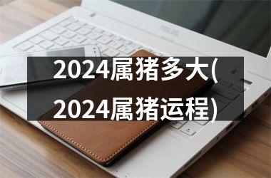 2024属猪多大(2024属猪运程)