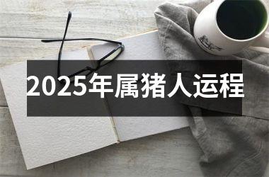 2025年属猪人运程