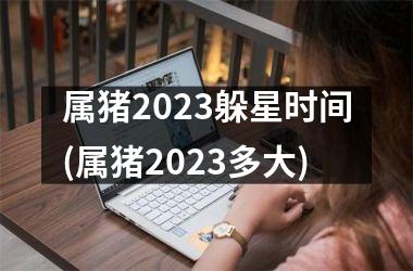 属猪2025躲星时间(属猪2025多大)