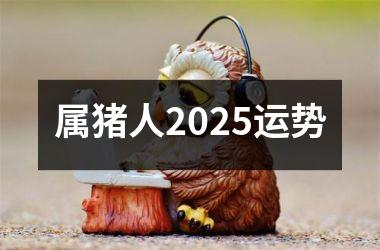 属猪人2025运势