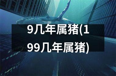 9几年属猪(199几年属猪)