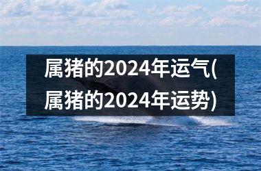 属猪的2024年运气(属猪的2024年运势)