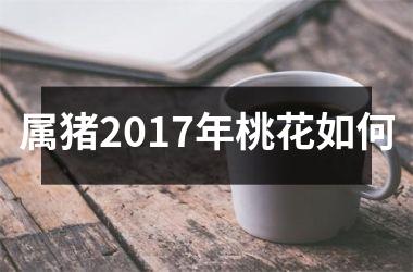 <h3>属猪2017年桃花如何