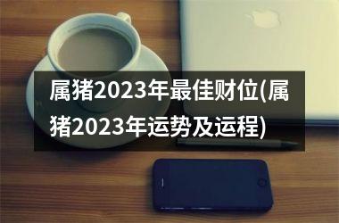 属猪2025年佳财位(属猪2025年运势及运程)