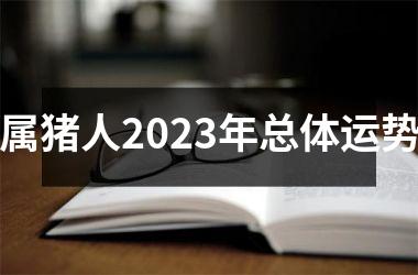 属猪人2025年总体运势