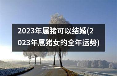 2025年属猪可以结婚(2025年属猪女的全年运势)