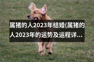 <h3>属猪的人2023年结婚(属猪的人2023年的运势及运程详解)