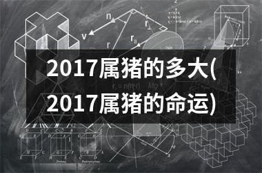 2017属猪的多大(2017属猪的命运)