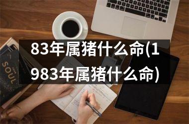 83年属猪什么命(1983年属猪什么命)