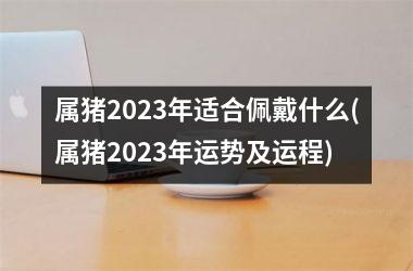 属猪2025年适合佩戴什么(属猪2025年运势及运程)