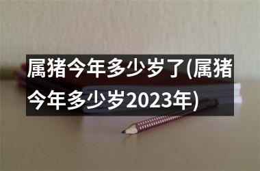 属猪今年多少岁了(属猪今年多少岁2025年)