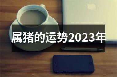 属猪的运势2025年