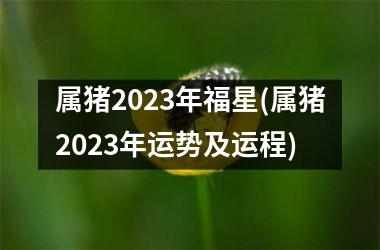 属猪2025年福星(属猪2025年运势及运程)