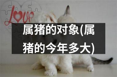 属猪的对象(属猪的今年多大)