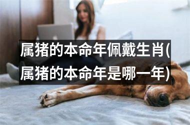 属猪的本命年佩戴生肖(属猪的本命年是哪一年)