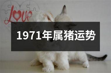 1971年属猪运势