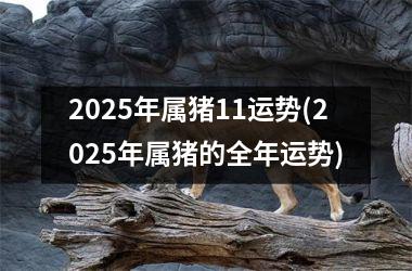 2025年属猪11运势(2025年属猪的全年运势)