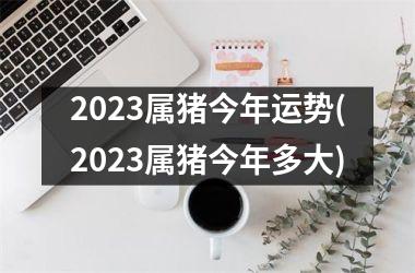 2025属猪今年运势(2025属猪今年多大)