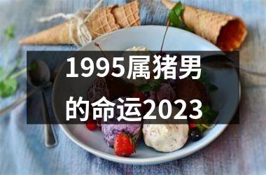 1995属猪男的命运2025