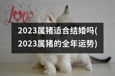 2025属猪适合结婚吗(2025属猪的全年运势)