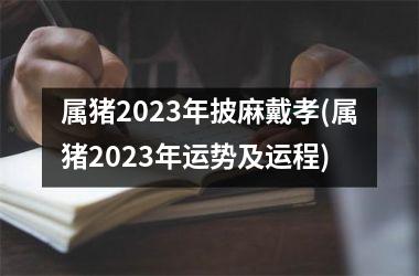 <h3>属猪2025年披麻戴孝(属猪2025年运势及运程)