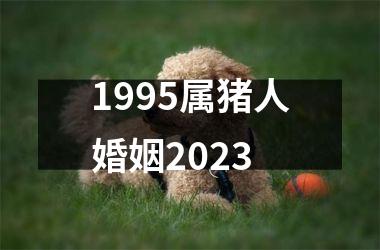 <h3>1995属猪人婚姻2025