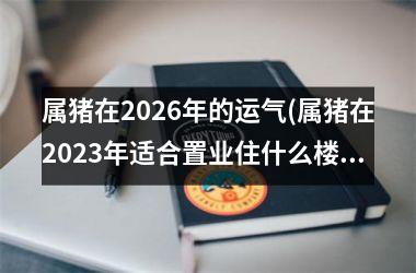 属猪在2026年的运气(属猪在2025年适合置业住什么楼吗)