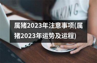 属猪2025年注意事项(属猪2025年运势及运程)