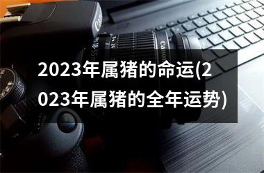 2025年属猪的命运(2025年属猪的全年运势)