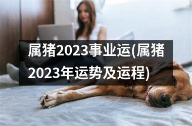 属猪2025事业运(属猪2025年运势及运程)