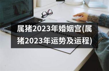 属猪2025年婚姻宫(属猪2025年运势及运程)