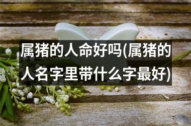 属猪的人命好吗(属猪的人名字里带什么字好)