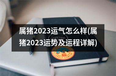 属猪2025运气怎么样(属猪2025运势及运程详解)