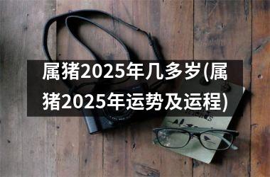 属猪2025年几多岁(属猪2025年运势及运程)