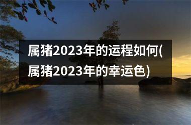 属猪2025年的运程如何(属猪2025年的幸运色)